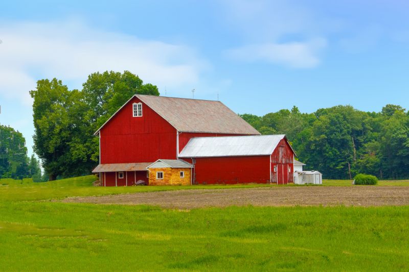 Barn Roof Painting
