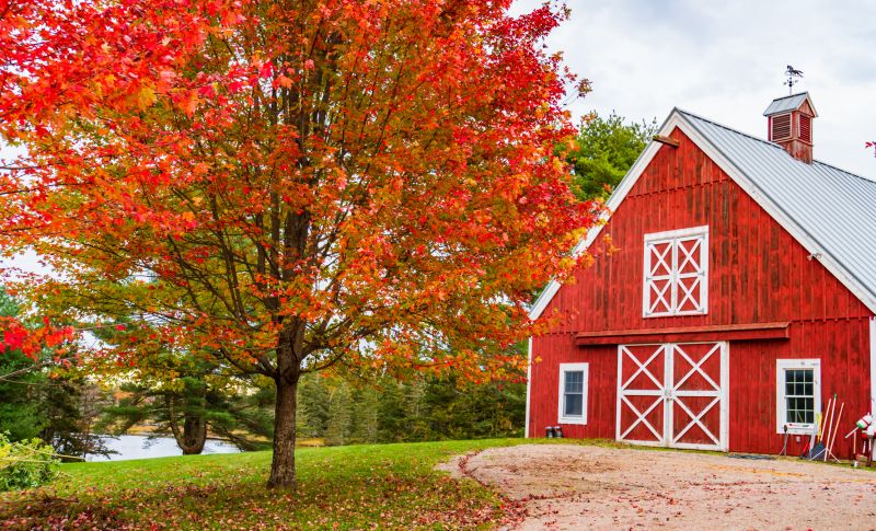 Colorful Barn Roof Artwork