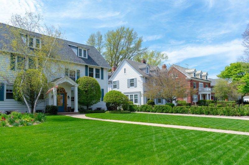 Front yard with painted house