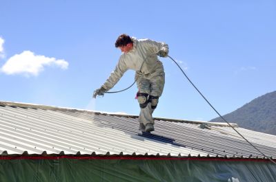 Experienced Roof Painters